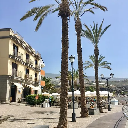 Number 5 At The Marina, Tenerife * Playa San Juan